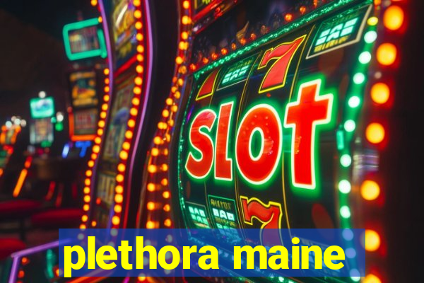 plethora maine