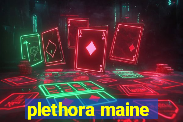 plethora maine