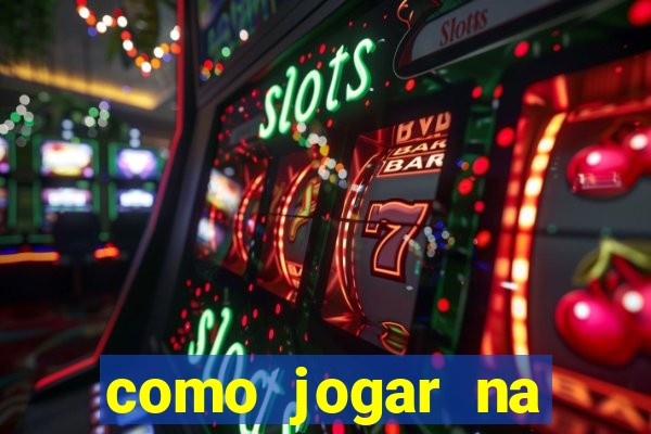 como jogar na seninha online