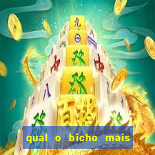 qual o bicho mais velho da loteria dos sonhos