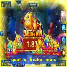 qual o bicho mais velho da loteria dos sonhos