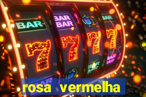 rosa vermelha (letra e cifra)