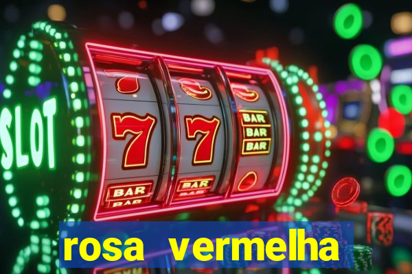 rosa vermelha (letra e cifra)