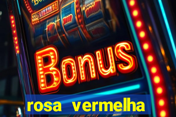 rosa vermelha (letra e cifra)