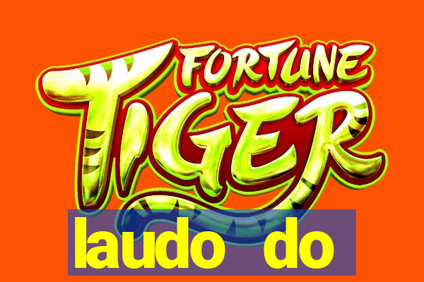 laudo do escapamento fortuna