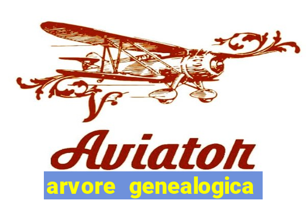 arvore genealogica dos gracie