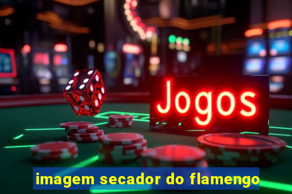 imagem secador do flamengo