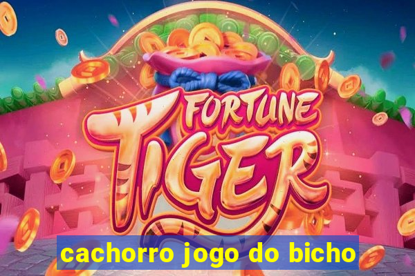 cachorro jogo do bicho