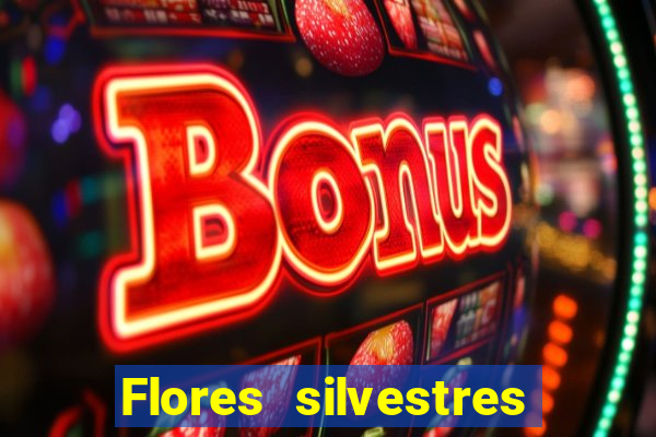 Flores silvestres brasileiras 25