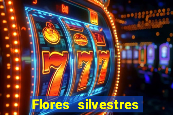 Flores silvestres brasileiras 25