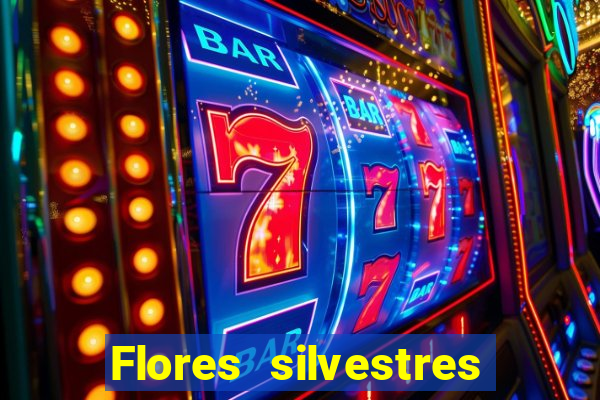 Flores silvestres brasileiras 25