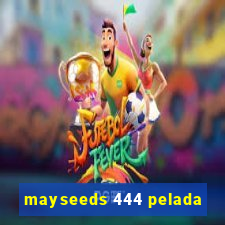 mayseeds 444 pelada