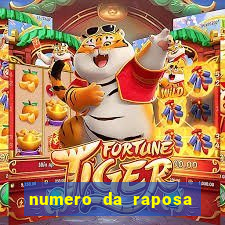 numero da raposa jogo do bicho