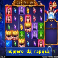 numero da raposa jogo do bicho