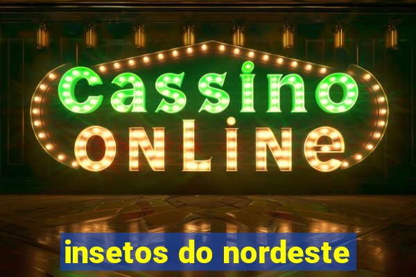 insetos do nordeste