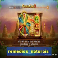 remedios naturais para diabetes