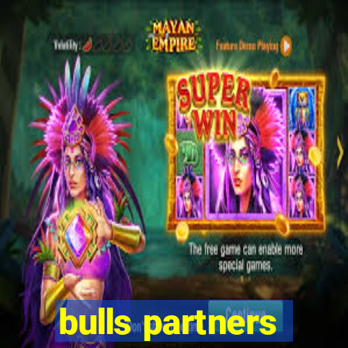 bulls partners