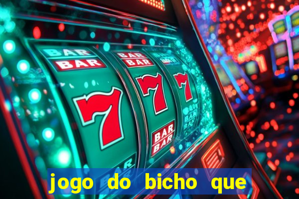 jogo do bicho que paga no pix