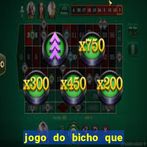 jogo do bicho que paga no pix