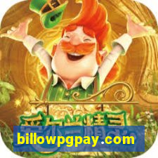 billowpgpay.com