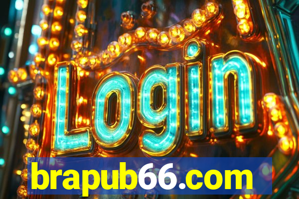 brapub66.com