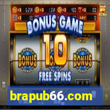 brapub66.com