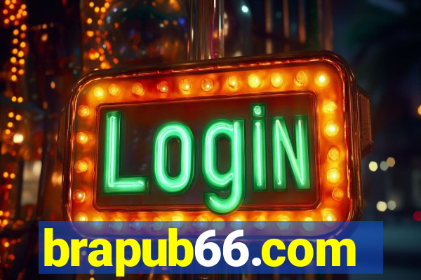 brapub66.com