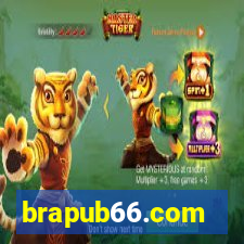 brapub66.com