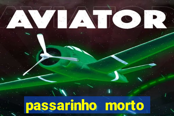 passarinho morto significado espiritual