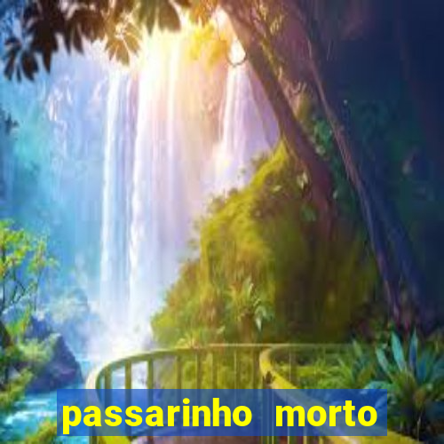 passarinho morto significado espiritual