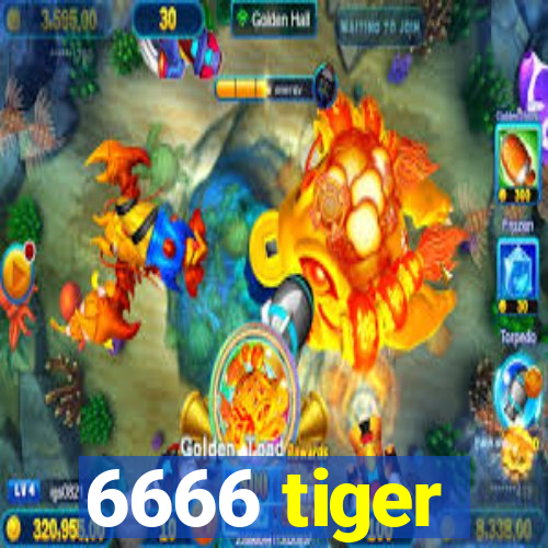 6666 tiger