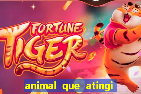 animal que atingi 230 decibeis