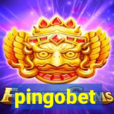 pingobet