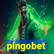 pingobet