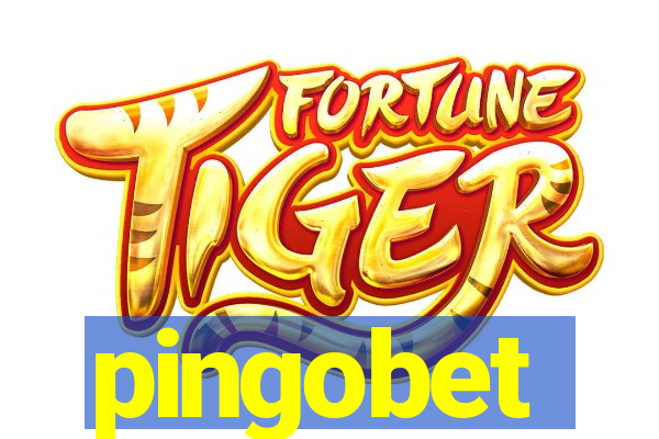 pingobet