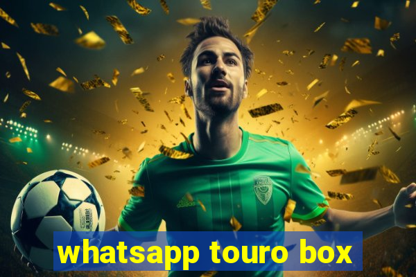 whatsapp touro box