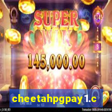 cheetahpgpay1.com