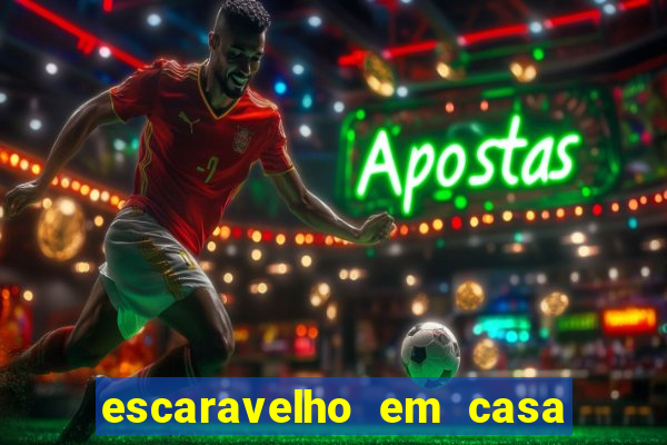 escaravelho em casa significado espiritual