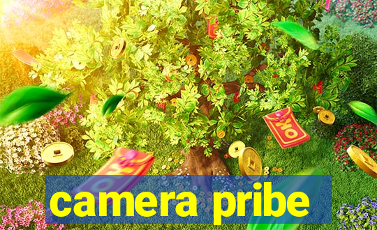 camera pribe