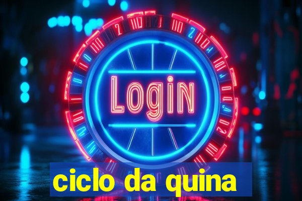 ciclo da quina