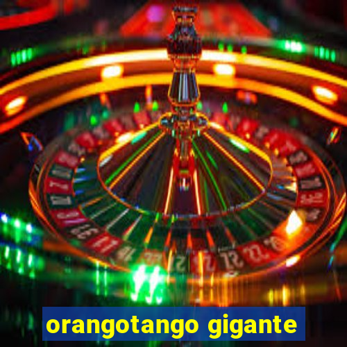 orangotango gigante