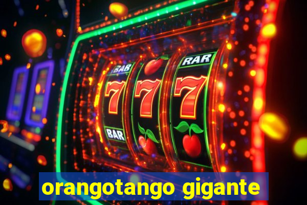 orangotango gigante