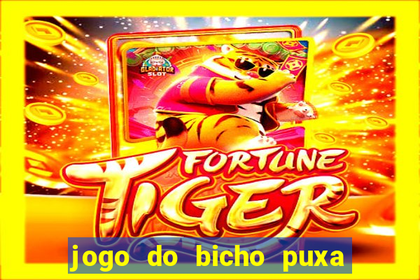 jogo do bicho puxa de dona maria