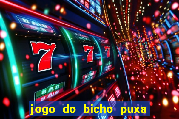 jogo do bicho puxa de dona maria