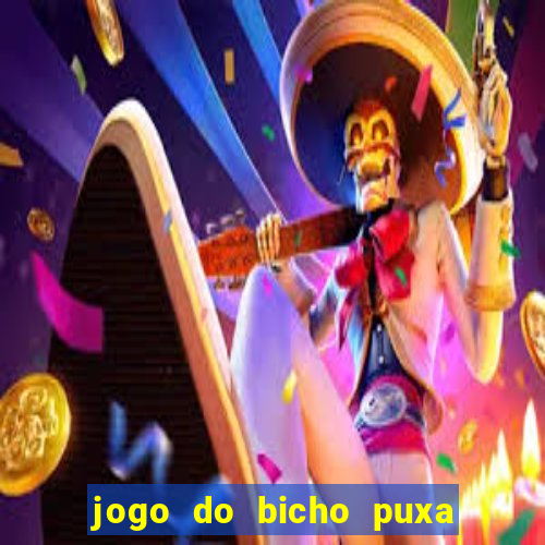 jogo do bicho puxa de dona maria