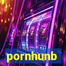 pornhunb