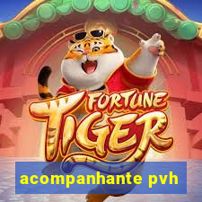 acompanhante pvh