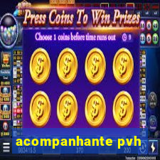 acompanhante pvh