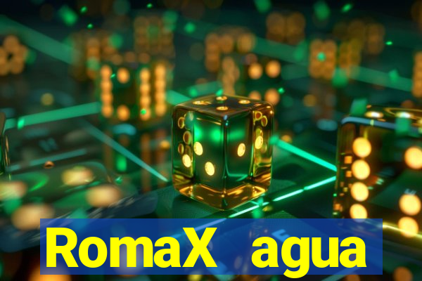 RomaX agua sanitaria fispq agua sanitaria romax