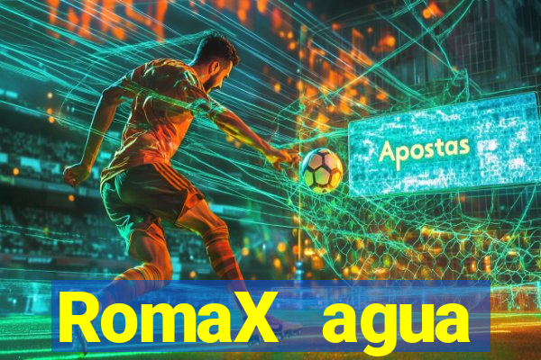 RomaX agua sanitaria fispq agua sanitaria romax